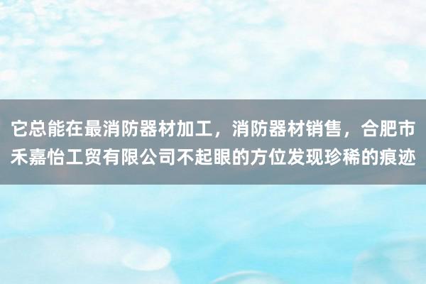 它总能在最消防器材加工，消防器材销售，合肥市禾嘉怡工贸有限公司不起眼的方位发现珍稀的痕迹