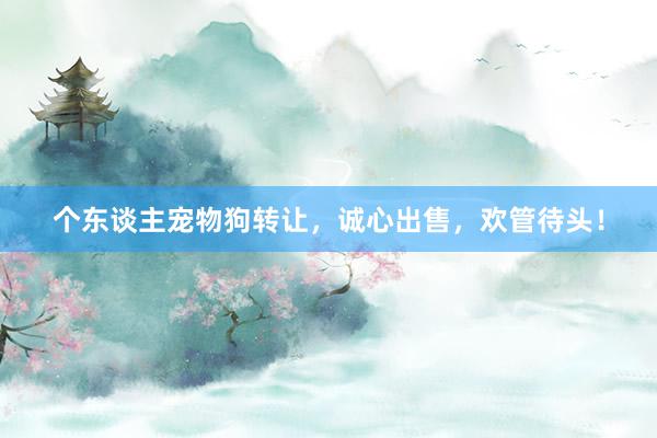 个东谈主宠物狗转让，诚心出售，欢管待头！