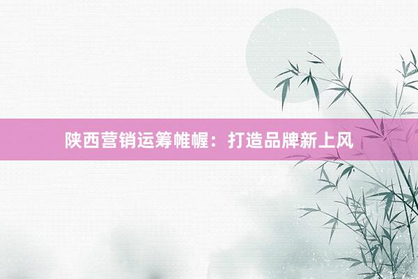 陕西营销运筹帷幄：打造品牌新上风
